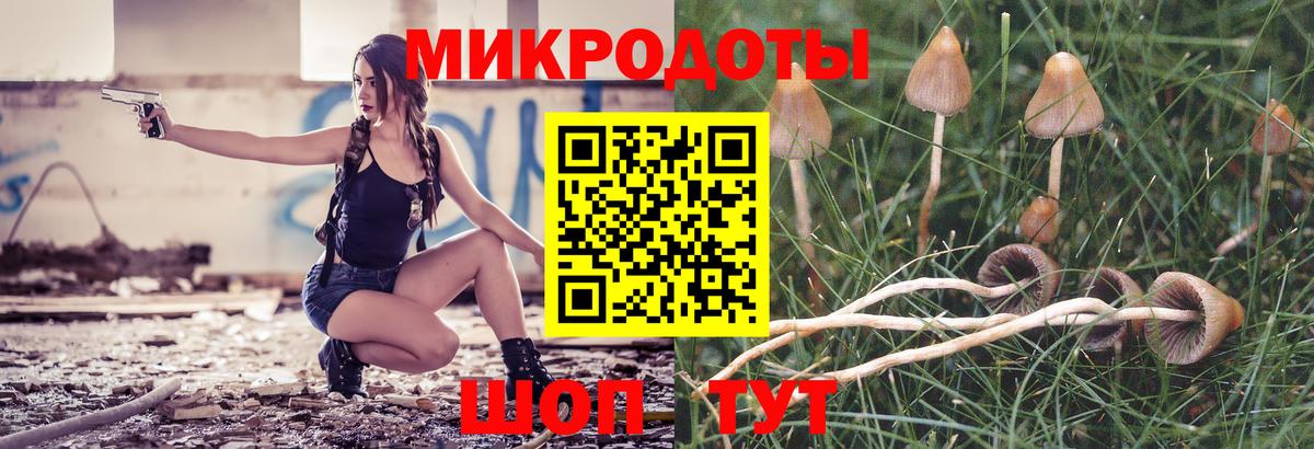что такое наркотик  Вход с VPN  Саранск  Псилоцибиновые грибы ЛСД  Псилоцибиновые грибы Cubensis 